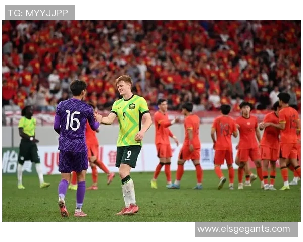 吕克德容的足球之路：从青训到职业生涯的辉煌与挑战